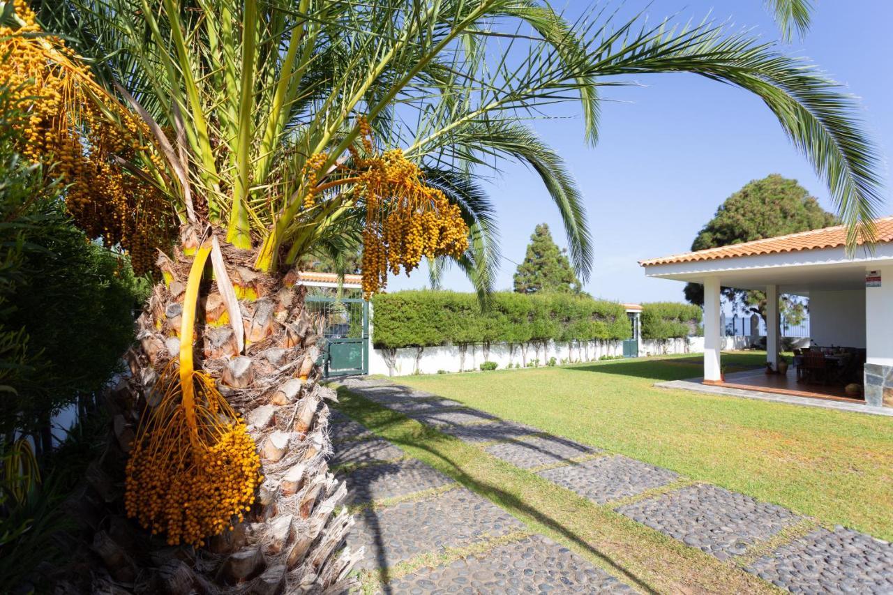Finca La Vizcondesa Icod De Los Vinos Esterno foto